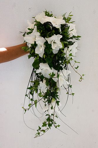 https://flic.kr/p/agTD8N | Gladiolus Bridal Bouquet Wedding Bouquet Ivy, Gladiolus Bridal Bouquet, Gladiolus Wedding Bouquet, Gladiolus Wedding Flowers, Gladiolus Wedding, Gladiolus Bouquet, White Gladiolus, Wedding Gate, Cascading Bouquet