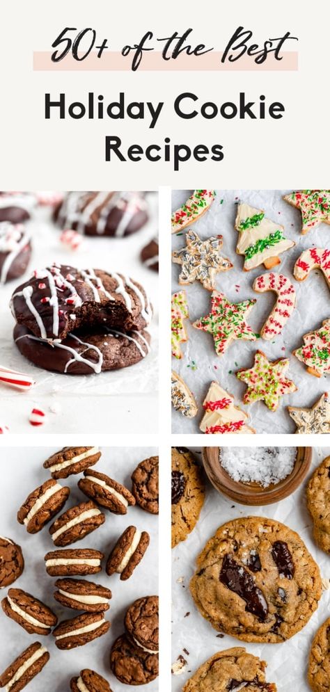 50 Cookie Recipes to Bake This Season | Ambitious Kitchen Ambitious Kitchen Sugar Cookies, Ambitious Kitchen Dessert, The Best Holiday Cookies, Ambitious Kitchen Cookies, Cookies Gift Ideas, Ambitious Kitchen Recipes, December Recipes, Festive Christmas Cookies, Oatmeal Coconut Cookies