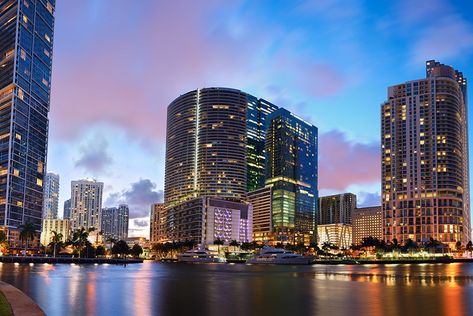 Brickell vs Edgewater: Which Miami Neighborhood is Best? | CondoBlackBook Blog Brickell Miami Aesthetic, Edgewater Miami, Sls Lux Brickell Miami, Sls Brickell Miami, Brickell City Centre Miami, The Standard Hotel Miami, Downtown Art, Brickell City Centre, Moving To Miami