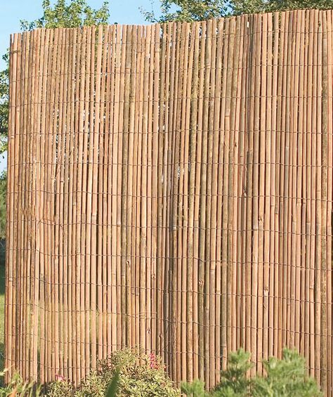 Bamboo Screening Ideas, Bamboo Screen Garden, Bamboo Screening Fence, Bamboo Screen, Bamboo Fencing, Bamboo Screening, Clematis Plants, Shade Screen, Planting Peonies