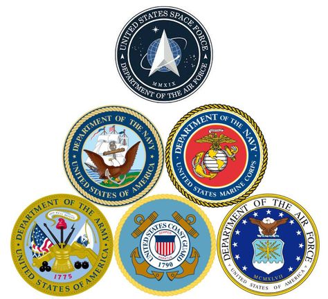 Eye Health Facts, Branches Of The Military, Different Country Flags, Veteran Logo, Military Emblems, Usa Stickers, Priscilla Barnes, Logo Usa, Army Symbol