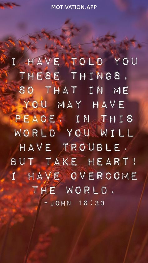 I Have Overcome The World, Motivation App, Best Bible Verses, Overcome The World, Christian Quotes Prayer, Take Heart, Good Prayers, Christian Motivation, Prayer Warrior