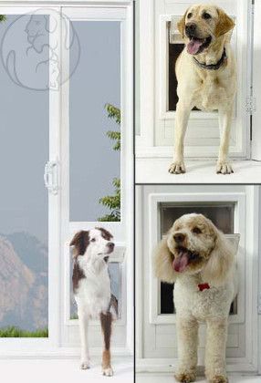 Dog door ideas