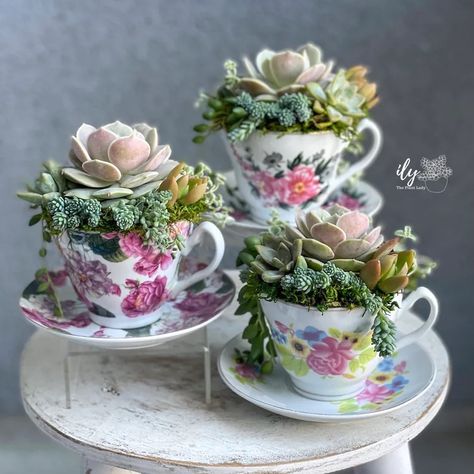 Teacup Floral Arrangements Diy, Teacup Arrangements, Scene Crafts, Fancy Plants, Tea Cup Decor, Tea Cup Centerpieces, Teacup Flowers, Planters Ideas, Succulent Ideas