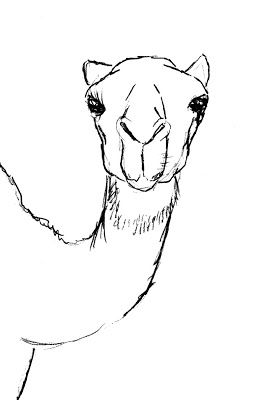 How to draw a Camel?? | Drawing Lessons Camelions Drawing Cute, Animal Head Drawing, Camel Art, Camel Drawing Easy, Camels Illustration, Camel Painting, Camels In The Desert, Camels Art, Drawing Heads