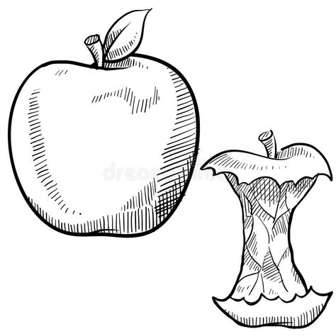 Apple and apple core sketch. Doodle style apple and apple core vector illustrati #Sponsored , #AD, #AFFILIATE, #apple, #sketch, #vector, #core Apple Core Illustration, Eaten Apple Tattoo, Eaten Apple Drawing, Bitten Apple Drawing, Rotten Apple Drawing, Apple Core Drawing, Rotten Apple Tattoo, Apple Drawing Simple, Apple Core Tattoo