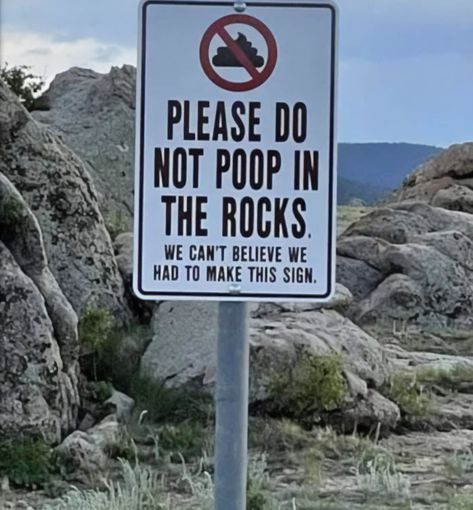 Funny Road Signs, Snap Photos, Warning Labels, Stars Then And Now, Road Signs, Funny Signs, A Sign, Puns, The Rock