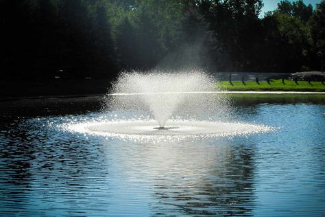 Pond Decorating Ideas, Decorative Water Fountain, Small Backyard Ponds, Dreamy Backyard, Pond Aerator, Pond Maintenance, Pond Ideas, Pond Waterfall, Pond Pumps