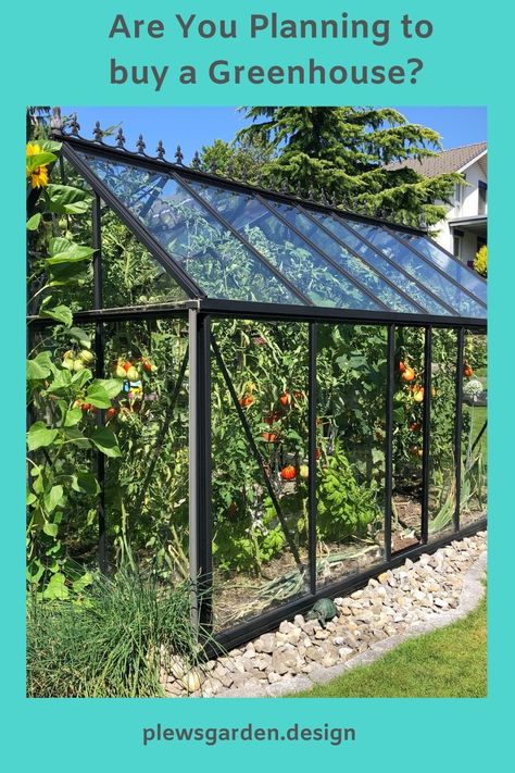 Greenhouse Kits For Sale, Greenhouses For Sale, Best Greenhouse, Large Greenhouse, Walk In Greenhouse, Greenhouse Ideas, Build A Greenhouse, Greenhouse Plants, Backyard Greenhouse