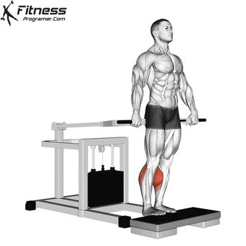 Best Calf Exercises, Bench Press Machine, Dumbbell Back Workout, Calves Exercises, Standing Calf Raise, Leg Workouts Gym, Free Workout Plans, Mantra Tattoo, Calf Exercises