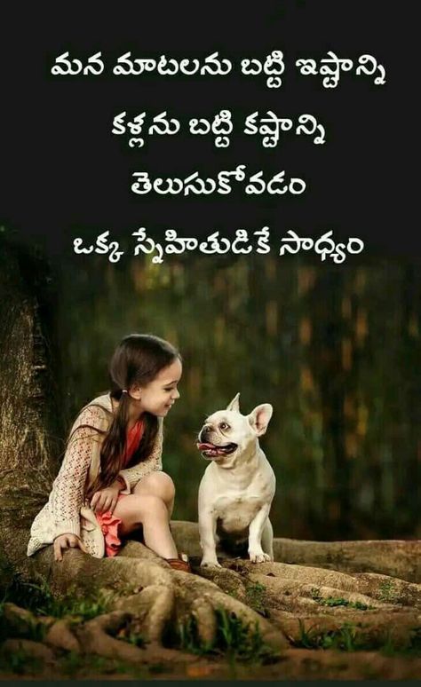 Quote Friendship Quotes In Telugu, Telugu Kavithalu, Telugu Inspirational Quotes, Telugu Quotes, Best Friendship Quotes, Devotional Quotes, Friendship Day Quotes, Cots, True Friendship