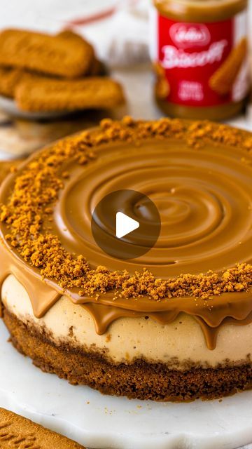 Camila Hurst on Instagram: "Biscoff Cheesecake still on top! One of our favorite cheesecake flavors ever!!
Cookie butter in the batter and also on top of the cheesecake, with a biscoff cookie crust of course, and more biscoff crumbs on top. This cheesecake is so decadent and rich, perfect and delicious! I wish you all could try a bite!
The recipe is on my website ❤️

#cheesecake #cheesecakelover #cheesecakes" Biscotti Cheesecake Recipes, Camila Hurst, Biscoff Desserts, Cheesecake Flavors, Cheesecake Decoration, Biscotti Cheesecake, Gooey Bars, Biscoff Cheesecake, Biscoff Cookie Butter