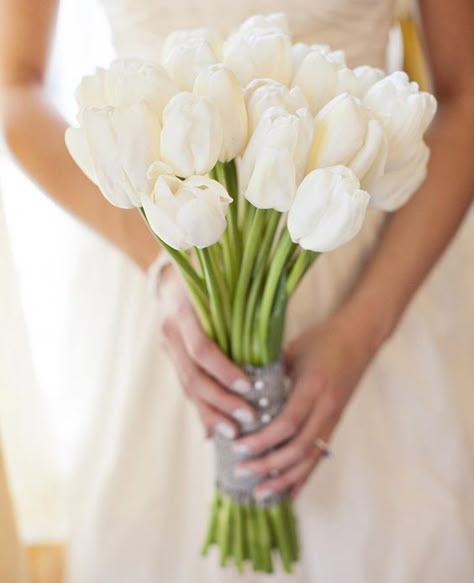 Tulip Bouquet Wedding, Tulip Bridal Bouquet, White Tulip Bouquet, Tulips Bouquet, Wedding Flowers Tulips, Tulip Wedding, Cheap Wedding Flowers, Gladioli, Tulip Bouquet