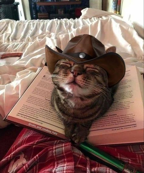 A Cat, Cowboy