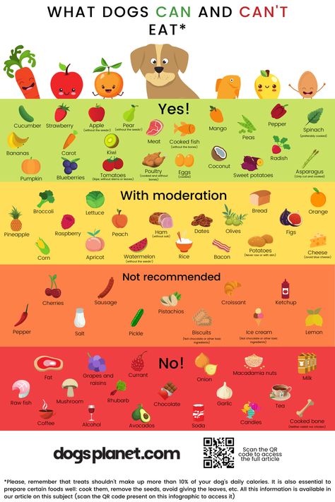 What Dogs Can and Can't Eat | Our Chart Dog Grocery List, Things Dogs Can And Can’t Eat, Safe Dog Food List, Veggies Dogs Can Eat, Foods Dogs Cant Have, Things Dogs Cant Eat, What Can Dogs Eat, Dog Meals, Foods For Dogs