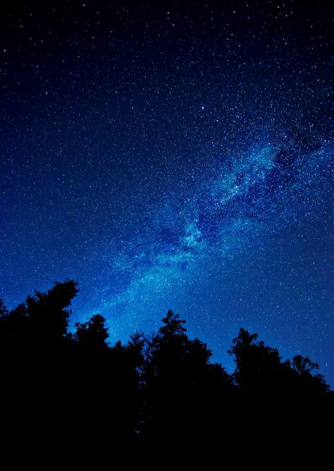 Headlands International Dark Sky Park - Website for Emmet County Headlands International Dark Sky Park Dark Night Sky With Stars, Summer Night Sky, Headlands International Dark Sky Park, Dark Sky Park, Country Night Sky, Nature Photographers, Petoskey Michigan, Michigan State Parks, Michigan Adventures