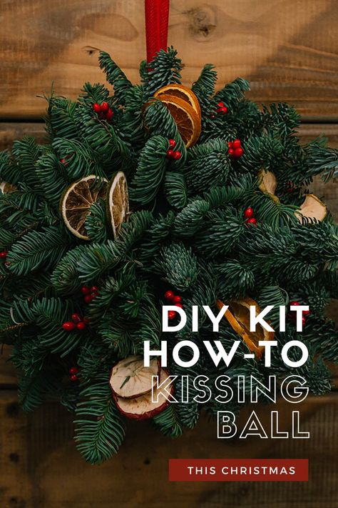 Kissing Balls Christmas Outdoor, Wreath Balls Christmas, Diy Kissing Ball Christmas, How To Make A Kissing Ball Christmas, How To Make A Kissing Ball, Christmas Kissing Balls Diy, Kissing Balls Christmas Diy, Kissing Balls Diy, Kissing Balls Christmas