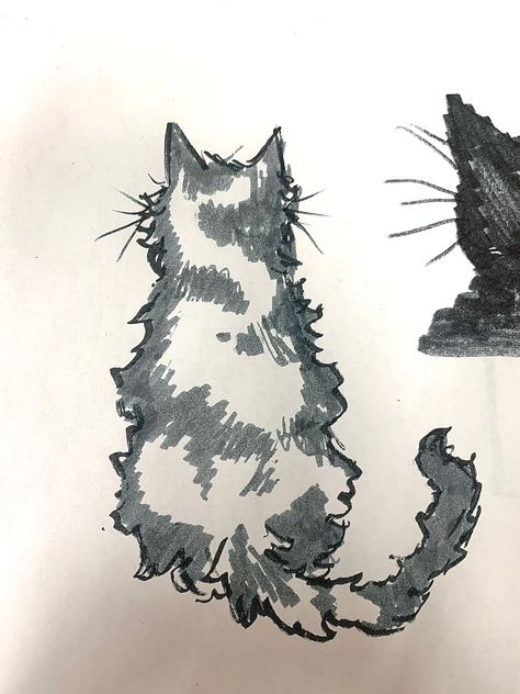 Cubby Cat Drawing, Random Doodle Page, Y2k Doodles Cat, Chunky Cat Drawing, Fluffy Cat Doodle, Cute Cat Drawing Aesthetic, How To Draw A Fluffy Cat, Cat Marker Drawing, Fluffy Cat Sketch