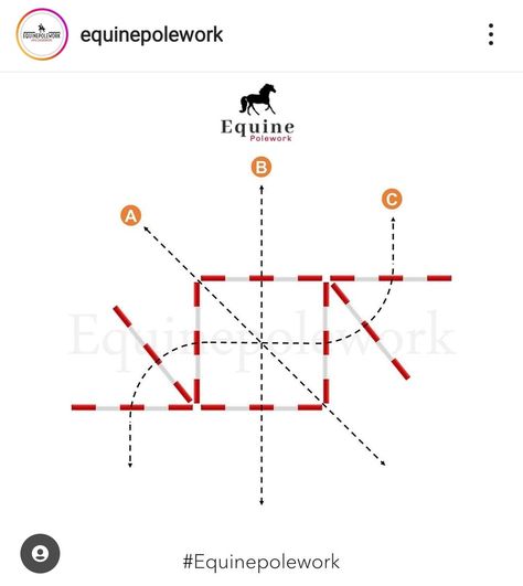 Ground Pole Exercises For Horses, Horse Pole Exercises, Flatwork Exercises Horses, Polework Exercises Horse, Cavaletti Exercises, Pole Work For Horses, Pole Exercises For Horses, Riding Lesson Ideas, Riding Lesson Plans