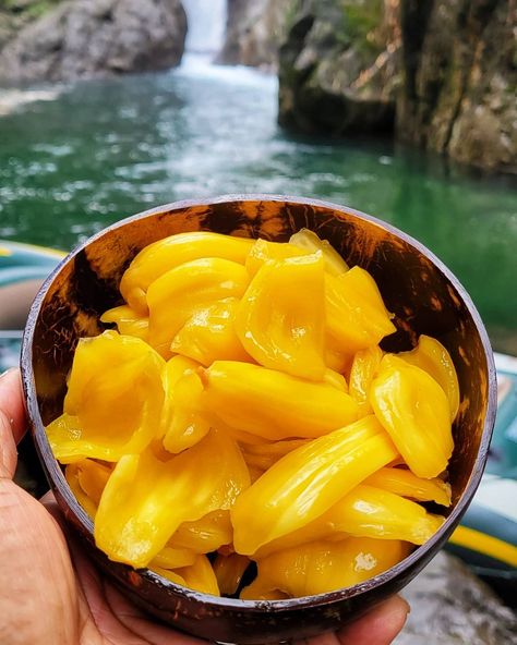 BRB escaping reality w/ Jackfruit Bulbs✨ Find them in-store or online at PitayaFoods.com Thanks you @ontheedgetours_ja 📸 #Ripe #Jackfruit #WealthInHealth #NonGMO #USDAOrganic #JackfruitCubes #JackfruitBulbs #Fruit #Superfruit #Smoothie #SmoothieBowl #JackfruitPieces Jackfruit Aesthetic, Ripe Jackfruit, Pitaya Fruit, Escaping Reality, Dried Fruits, Usda Organic, Smoothie Bowl, Non Gmo, Aesthetic Food