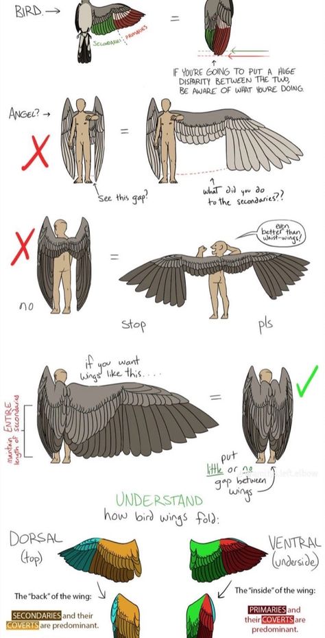 Wing Anatomy, Human Wings, Winged People, Bird People, Hybrid Art, Wings Drawing, Art Advice, Body Base Drawing, Art Prompts