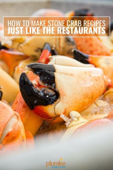 How to enjoy the best Florida Gulf Coast stone crab recipes in your Indian Rocks Beach rental and the restaurants that serve them locally. Rock Crab, Baked Brisket, Crab Trap, Crab Meat Recipes, Stone Crab, Florida Gulf Coast, Beach Rental, Crab Shells, Sea Crab