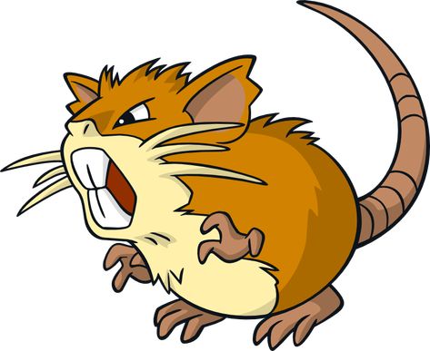 Raticate | Pokémon Wiki | FANDOM powered by Wikia Pokemon Wiki, Mouse Pokemon, Pokemon Alola, Pokemon Stickers, Pokemon Pins, Nursery Art Girl, Pokemon Pokedex, Nursery Art Boy, Scary Faces