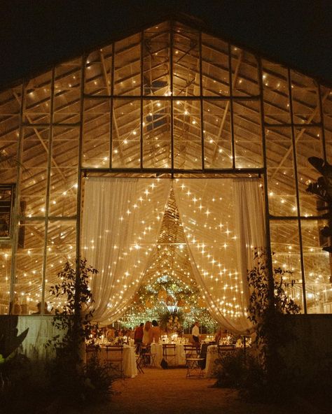 15 Important Questions to Ask Your Wedding Venue Before You Book Glass House Wedding, Summer Wedding Reception, Reception Entrance, Clear Tent, Dream Venue, Green Wedding Shoes, Wedding Lights, Glass House, Green Wedding