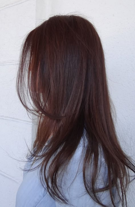 Redish Brown Hair, Dark Auburn Hair, Reddish Brown Hair, Red Hair Inspo, Brown Hair Inspo, Hair Tint, Red Brown Hair, Hair Color Auburn, Burgundy Hair