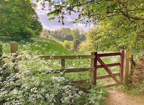 Memories of a Cotswold Summer . Cow Parsley, green grass, bursting trees, warm sun… it’s just around the corner and here’s a little teaser… Shire Aesthetic, Cotswolds Cottage, Country Fences, Country Lane, Cow Parsley, Cottage Aesthetic, The Cotswolds, English Countryside, Nature Aesthetic