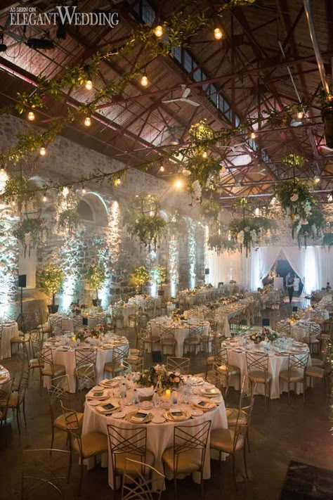 Hanging Greenery, Indoor Garden Wedding, Indoor Wedding Receptions, Romantic Outdoor Wedding, Garden Wedding Reception, Outdoor Wedding Photography, Indoor Reception, Light Wedding, Outdoor Wedding Reception