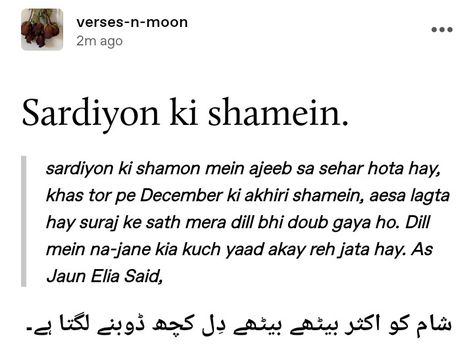 Shaamein Quotes, Jaun Eliya, Fav Poetry, Hindi Lyrics, Poetry Ideas, Desi Quotes, Creative Life Quotes, Really Deep Quotes, Hadith Quotes