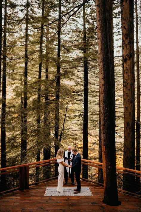 bride and groom holding hands praying during elopement ceremony at Hoyt arboretum in Portland Oregon Forest Wedding Details, Treehouse Weddings, Bride And Groom Praying, Hoyt Arboretum Wedding, Tree Wedding Ceremony, Hoyt Arboretum, Treehouse Wedding, Cliff Wedding, Oregon Coast Elopement