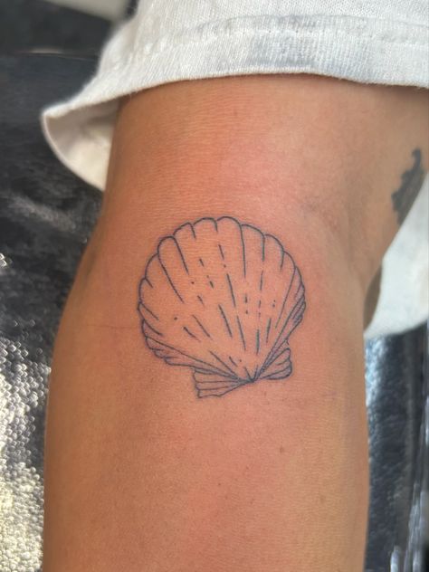 Geometric Shell Tattoo, Water Fine Line Tattoo, Line Shell Tattoo, Shell Tattoos For Women, Fine Line Shell Tattoo, Scallop Tattoo, She’ll Tattoo, Scallop Shell Tattoo, Small Shell Tattoo