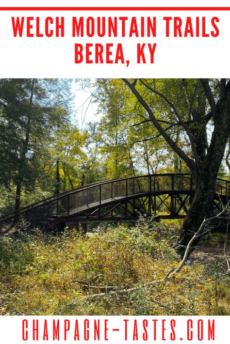 Looking for hiking trails near Lexington, Kentucky? Check out the Brushy Fork trails on Welch Mountain in downtown Berea, Kentucky. Kentucky Hiking, Berea Kentucky, Lexington Kentucky, Fall Hiking, Mountain Trails, Natural Bridge, Trail Maps, Hiking Trails, Railroad Tracks