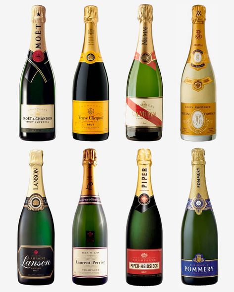 French-Champagne Champagne Brands, Best Champagne, Wine Knowledge, Home Bar Design, Wine Guide, Bar Fridges, French Wine, Funny Images Laughter, Beverage Packaging