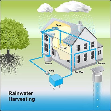 Rain Water Collection Diy, Rain Harvesting, Water From Air, Rainwater Harvesting System, Water Scarcity, Rainwater Harvesting, Water Collection, Rain Barrel, Rain Water Collection