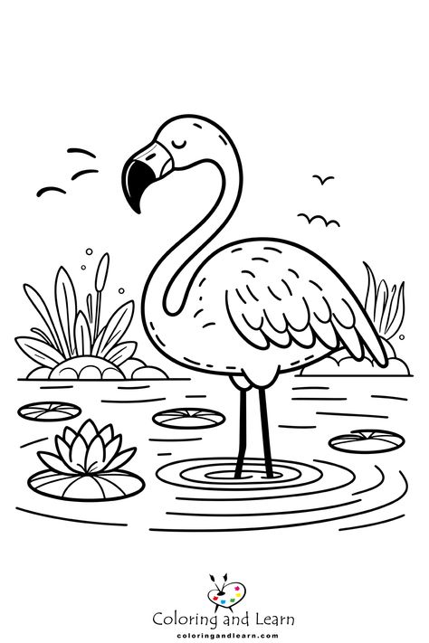 Best printable Flamingo Coloring Pages  - Flamingo coloring pages feature the elegant and vibrant bird known for its distinctive pink feathers and long legs. These pages often depict flamingos... - drawing Flamingos Drawing, Flamingo Doodle, Flamingo Drawings, Drawing Flamingo, Flamingo Drawing, Printable Flamingo, Peacock Coloring Pages, Flamingo Coloring Page, Ladybug Coloring Page