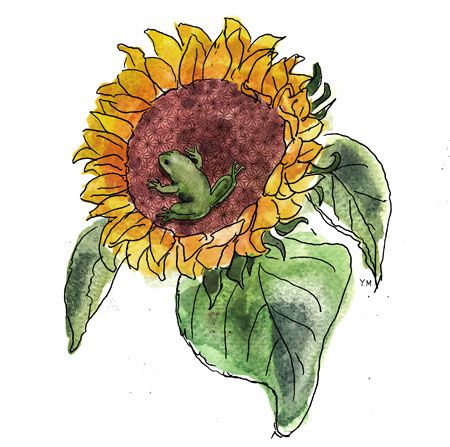 Sunflower and Frog as a tattoo Frog Sunflower Tattoo, Sunflower Drawing, Frog Tattoos, Hand Lettering Drawing, Beauty Tips For Face, Sunflower Tattoo, Sunflower Painting, Mom Tattoos, New Tattoos