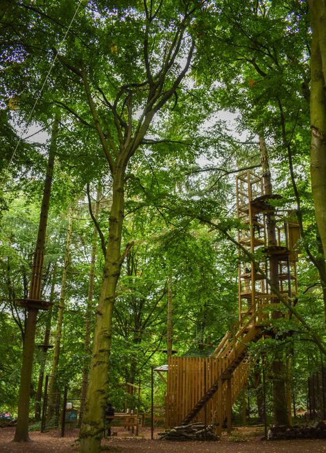 Go Ape Temple Newsam Leeds Treetop Challenge | I'm Just A Girl Go Ape Treetop Adventure, Alphabet Dating, Challenge Course, Go Ape, 2024 Goals, Extreme Adventure, I'm Just A Girl, Thrill Seeker, Party Inspo