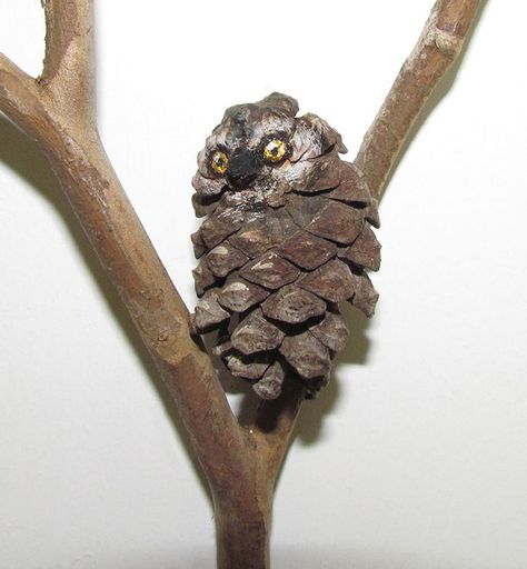 Pine Cone Animals, Pinecone Owls, Pine Needle Crafts, Pinecone Crafts Christmas, Pine Cone Art, Cone Crafts, Acorn Crafts, Fairy Garden Crafts, Pine Cone Decorations