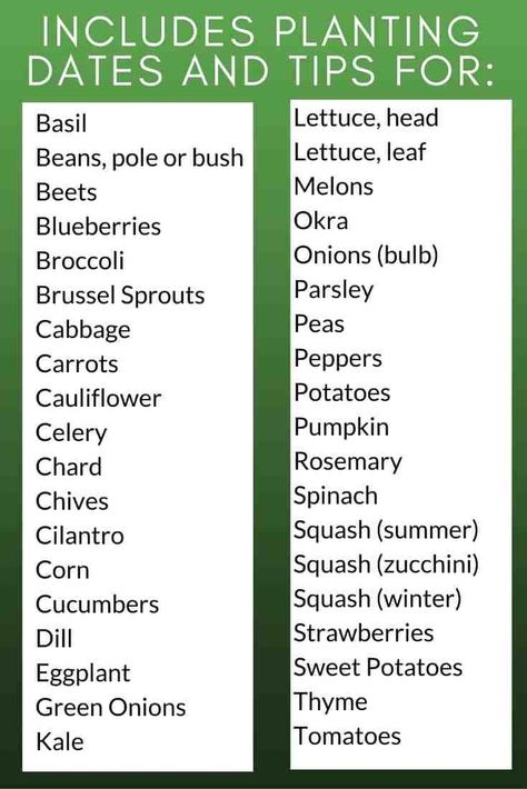 List of plants included in the ultimate vegetable garden planning spreadsheets Planning Spreadsheets, Cauliflower Potatoes, Vegetable Garden Planner, Onion Bulbs, Vegetable Garden Tips, Vegetable Garden Planning, Fall Garden Vegetables, Backyard Vegetable Gardens, Organic Vegetable Garden