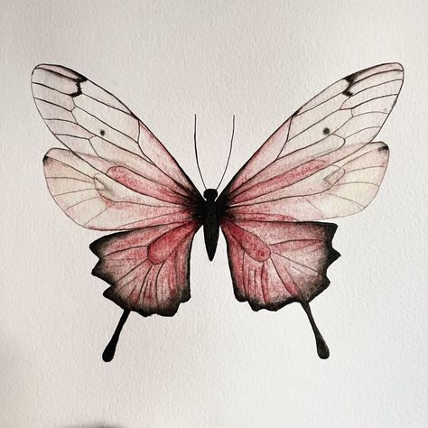 Butterfly Watercolor Painting, Watercolour Butterfly, Butterfly Simple, Sketching Inspiration, Butterfly Art Drawing, Painting Realistic, Butterfly Sketch, Butterfly Artwork, Butterfly Art Painting