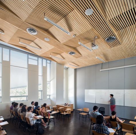 Gallery of Universidad de Chile - Juan Gomez Millas Campus Classroom Building / Marsino Arquitectura - 4 Classroom Architecture, Classroom Ceiling, Dia Beacon, Biophilic Architecture, Auditorium Design, Classroom Interior, Multipurpose Hall, Music Rooms, Training Room