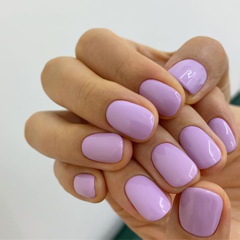 Lilac Nails, Colorful Nails, Her Nails, Summer Nails Colors, Minimalist Nails, Dream Nails, Short Acrylic Nails, Purple Nails, Gel Manicure