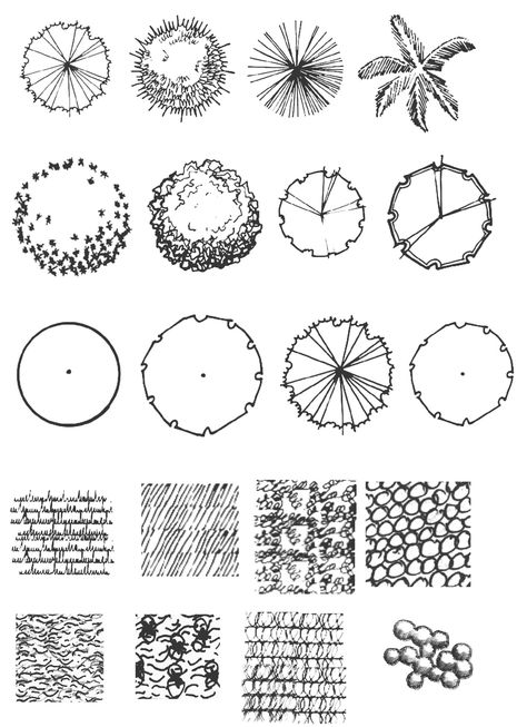 landscape plants in plan brush by Arharsh46 Lighting Symbols, Palm Tree Clip Art, Trees Top View, Tree Plan, Tree Sketches, Vector Trees, Drawing Set, Watercolor Trees, Photo Tree