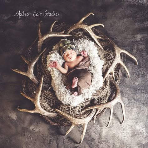 Baby Boy Newborn Pictures, Foto Newborn, Anne Geddes, Newborn Pics, Western Babies, Boy Newborn, Foto Baby, Newborn Shoot, Newborn Baby Photography