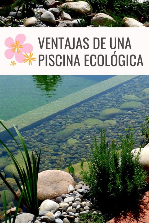 Nature, Ideas De Piscina, Vertical Garden Plants, Eco Buildings, Piscina Natural, Terrarium Diy, Natural Pool, Diy Planters, Succulent Planter