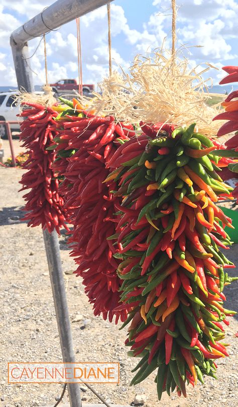 How to Dry Peppers - Cayenne Diane Cayenne Pepper Wreath, Stringing Peppers To Dry, How To Preserve Cayenne Peppers, Drying Cayenne Peppers, Drying Hot Peppers, Preserving Cayenne Peppers, How To Dry Cayenne Peppers, Vegetable Preserving, How To Store Peppers