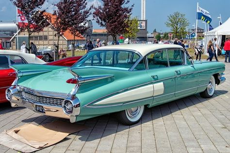 Cadillac 60 Special Fleetwood 1959 Classic Cars Usa, 1959 Cadillac, Luxury Car Brands, Cadillac Ct6, Cars Usa, Vintage Muscle Cars, Cadillac Fleetwood, American Classic Cars, Old Classic Cars